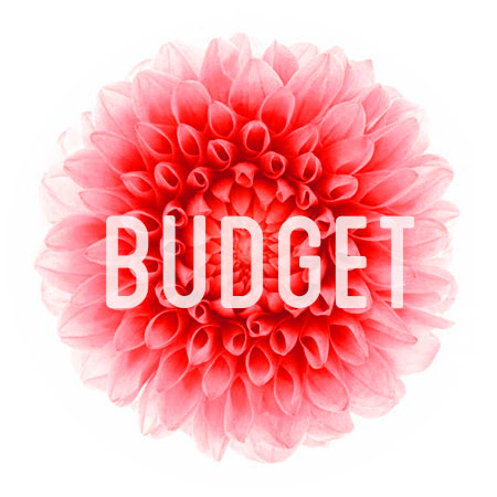 budget